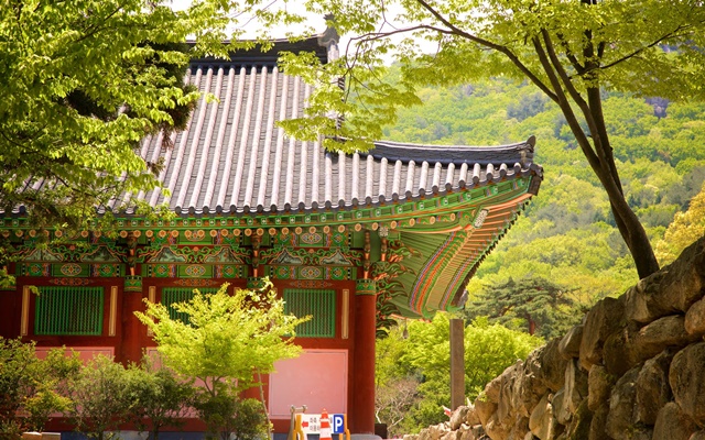 Top những cảnh đẹp ấn tượng khiến khách du lịch Hàn Quốc say mê