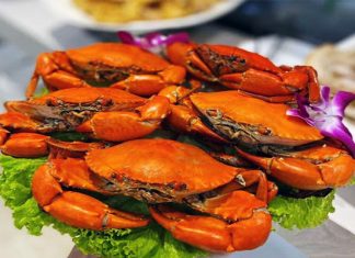 Cà Mau có gì ăn? Top những món ăn đặc sản không thể bỏ qua Cà Mau có gì ăn? Top những món ăn đặc sản không thể bỏ qua