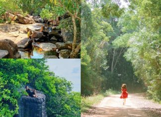 Khám phá hệ sinh thái đa dạng tuyệt đẹp tại vườn Quốc Gia Phú Quốc Khám phá hệ sinh thái đa dạng tuyệt đẹp tại vườn Quốc Gia Phú Quốc