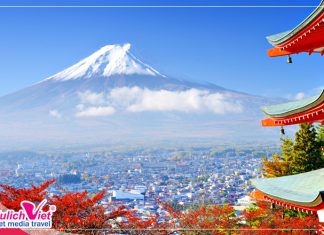 Du lịch Nhật Bản ngắm hoa anh đào 2025